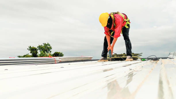 Best Sheet Metal Roofing  in White Rock, NM